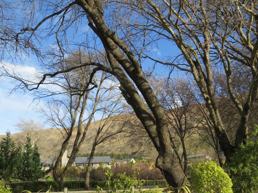 Altamont Lodge Wanaka Ngoại thất bức ảnh